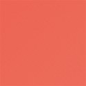 DS_FB_Paper1Solid
