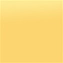 DS_FB_Paper3_Solid