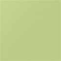 DS_FB_Paper4_Solid
