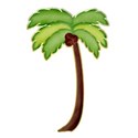 DS_FB_PalmCharm