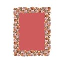 DS_FB_ShellFrame