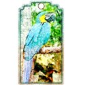 DSnow_FlamingoBeach_TagParrott
