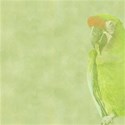 DS_FB_Paper4_Parrot