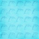 DS_FB_Paper5_Print2