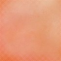 dsnow_flamingobeach_paper01