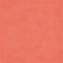 dsnow_flamingobeach_paper02