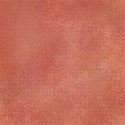 dsnow_flamingobeach_paper03
