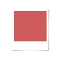 DS_FB_Poloroid