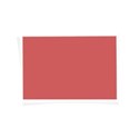 DS_FB_SnapFrame