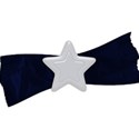 moo_celebrate_doublestarribbonwshadow2