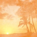 DSnow_TropicalBreezePaper (16)