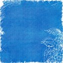 DSnow_TropicalBreezePaper (21)