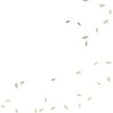 moo_endearing_leavessplatter