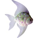 moo_funandfancyfree_fish2