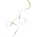 moo_funandfancyfree_twistedribbon2