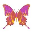 DSnow_TropicalBreeze_ButterflySticker
