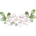 DSnow_TropicalBreeze_FlowerCluster (1)
