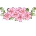 DSnow_TropicalBreeze_FlowerCluster (3)