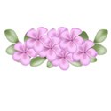 DSnow_TropicalBreeze_FlowerCluster (4)