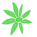 DSnow_TropicalBreeze_FlowerSticker (2)