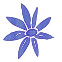 DSnow_TropicalBreeze_FlowerSticker (7)