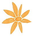 DSnow_TropicalBreeze_FlowerSticker (8)