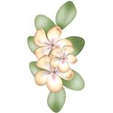 DSnow_TropicalBreeze_SmFlowerCluster
