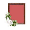 DSnow_TropicalBreeze_Frame2Flowered