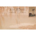 DSnow_TropicalBreeze_PostCard (1)
