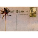 DSnow_TropicalBreeze_PostCard (2)