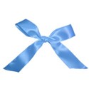 DSnow-TropicalBreeze_Bow (2)