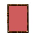 DS_Frame_L