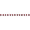 cc-IB-Ribbon07
