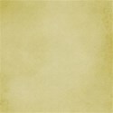cc-IB-Paper02
