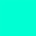 Brights12