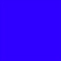 Brights19