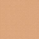 TropicalCardstock02