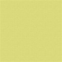 TropicalCardstock05
