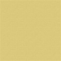 TropicalCardstock04