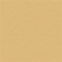 TropicalCardstock03