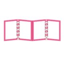 BD-Pink Lady-Long frame1