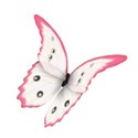 BD-Pink Lady- Pretty Butterfly1