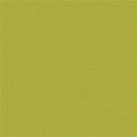 CasualCardstock05