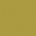 CasualCardstock04