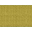 CasualCardstockMatte04