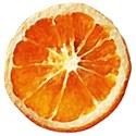 DZ_SummerShine_citrus