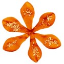 DZ_SummerShine_flower1