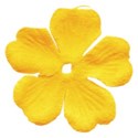 DZ_SummerShine_flower2