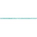 DZ_SummerShine_scallop4