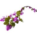 armina_lavander_sky_flowerbranch3